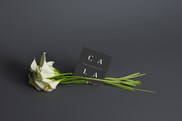 Cala家居用品公司vi設(shè)計(jì),logo字體設(shè)計(jì)
